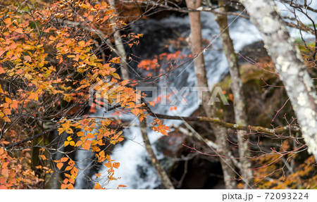 【竜頭ノ滝の紅葉を中段で撮影】 72093224