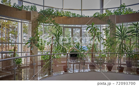 A small greenhouse with plants in the building. A small greenhouse with plants in the building. 72093700