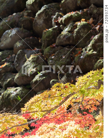 古い石垣と鮮やかな紅葉の景色 古い石垣と鮮やかな紅葉の景色 72093734