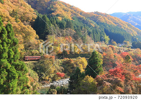 わたらせ渓谷鐵道「紅葉の山間部を走る列車」 わたらせ渓谷鐵道「紅葉の山間部を走る列車」 72093920