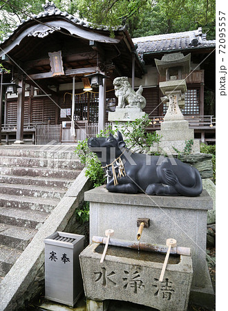 漆器の町 黒江　 和歌山県海南市　中言神社　黒牛 72095557