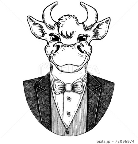 Vector New Year illustration with a bull. New Year winter card with a bull. Bull in sweater. Template for new year, christmas. 72096974