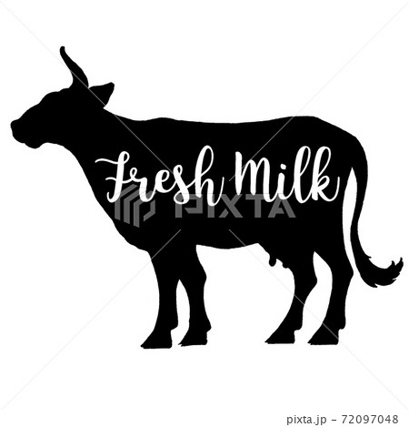 Cows head. Natural Milk. Dairy farm. Vintage vector engraving illustration for label, poster, logotype. Isolated on white background 72097048