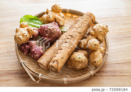 ごぼうと菊芋 72099184
