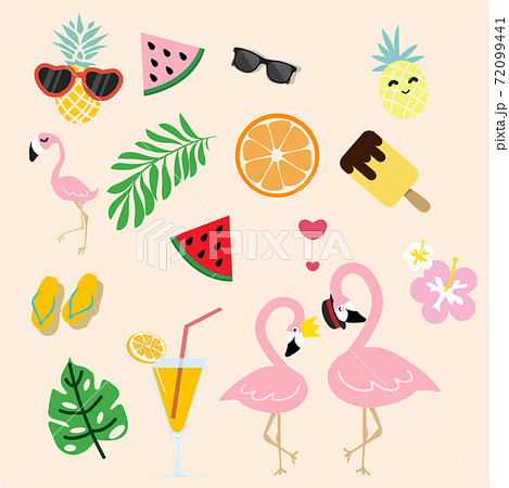 cute pink flamingo with tropical summer cute pink flamingo with tropical summer 72099441