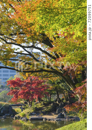 秋の小石川後楽園 72099751