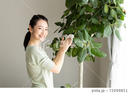 観葉植物を手入れする女性の写真素材