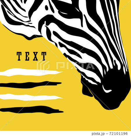 Graphical poster with head zebra closeup on yellow background, vector illustration in pop art collage style Graphical poster with head zebra closeup on yellow background, vector illustration in pop art collage style 72101196