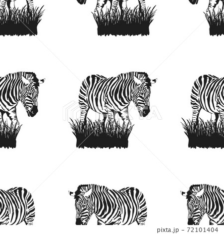 Seamless pattern of graphical sketch Zebra stands in the grass isolated on white background, vector illustration 72101404