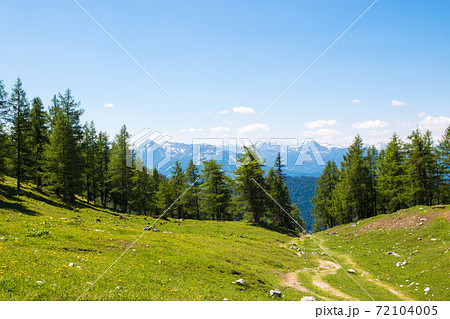 Trekking route in National park Dachstein, Austria. Away alpine mountains and green forest 72104005