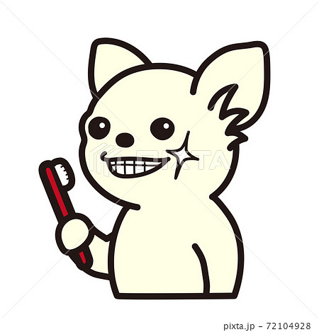 歯を磨いたチワワのイラスト素材