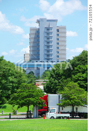 ゆりかもめ(東京都江東区有明付近) ゆりかもめ(東京都江東区有明付近) 72105554