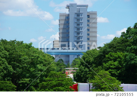 ゆりかもめ(東京都江東区有明付近) ゆりかもめ(東京都江東区有明付近) 72105555