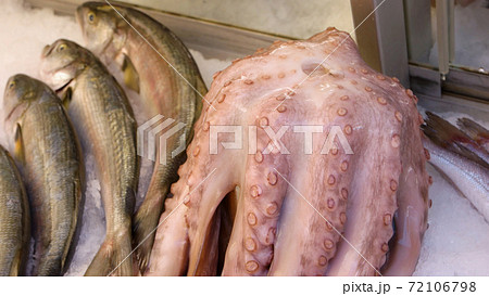 Seafood display at market. 72106798
