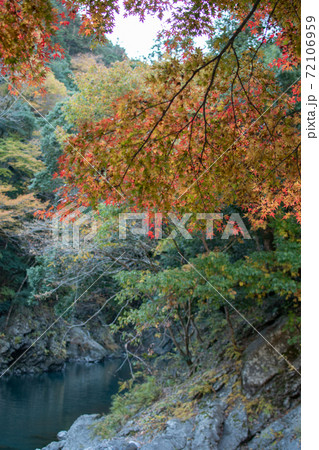色づき始めのもみじと氷川渓谷 72106959