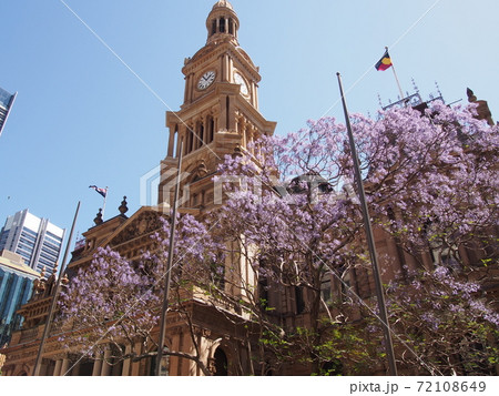 Sydney Town Hall 72108649
