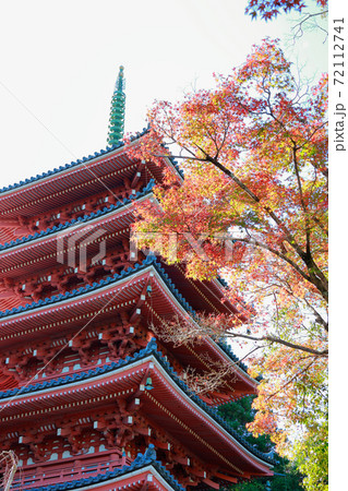 高知県 竹林寺の紅葉の写真素材