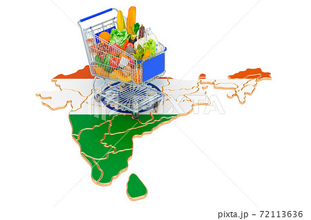 Purchasing power in India concept. Shopping cart with Indian map, 3D rendering 72113636
