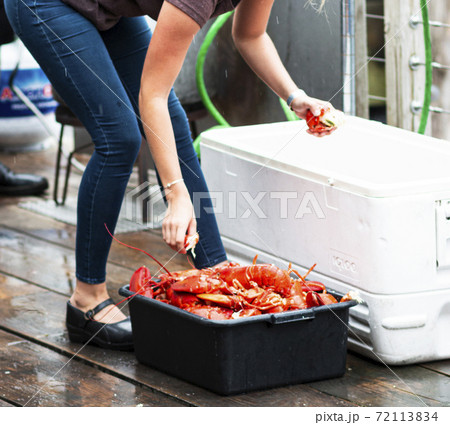 Worker grabbing freshly steamed Maine lobsters to serve at restaurant 72113834