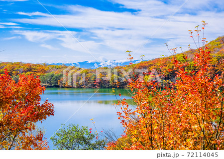 紅葉の赤城小沼と冠雪の富士山 72114045