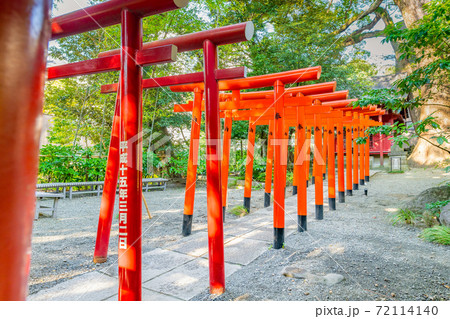 静岡県熱海市 来宮神社 静岡県熱海市 来宮神社 72114140