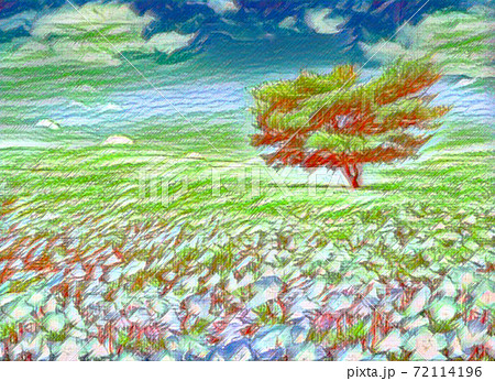 ひたち海浜公園のクレヨン画のイラスト素材