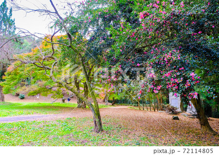 笠間城跡公園 笠間城跡公園 72114805