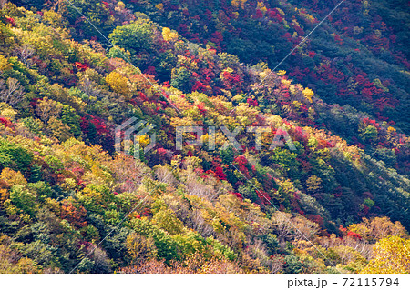 日光 半月峠第2駐車場からの眺望  紅葉景色 秋景色   日光 半月峠第2駐車場からの眺望  紅葉景色 秋景色   72115794