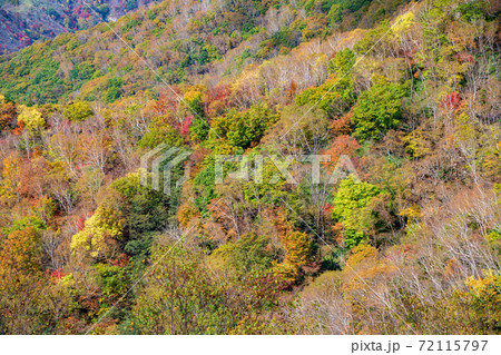 日光 半月峠第2駐車場からの眺望  紅葉景色 秋景色   日光 半月峠第2駐車場からの眺望  紅葉景色 秋景色   72115797
