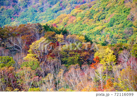日光 半月峠第2駐車場からの眺望  紅葉景色 秋景色   日光 半月峠第2駐車場からの眺望  紅葉景色 秋景色   72116099