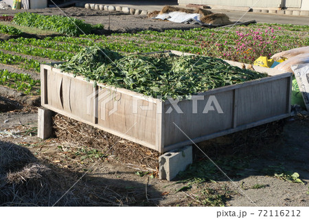 堆肥枠 72116212
