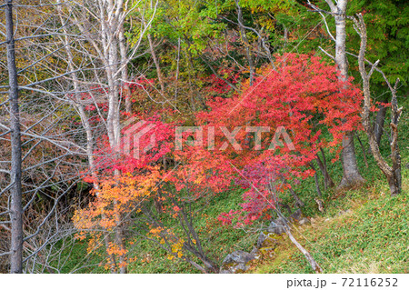 日光 半月峠第2駐車場からの眺望  紅葉景色 秋景色   日光 半月峠第2駐車場からの眺望  紅葉景色 秋景色   72116252
