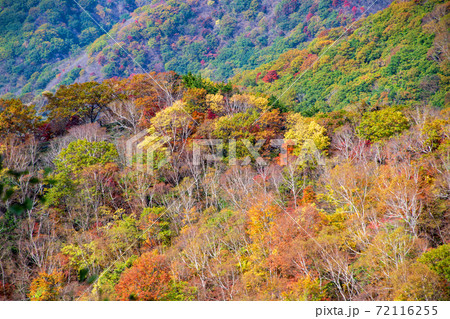 日光 半月峠第2駐車場からの眺望  紅葉景色 秋景色   日光 半月峠第2駐車場からの眺望  紅葉景色 秋景色   72116255