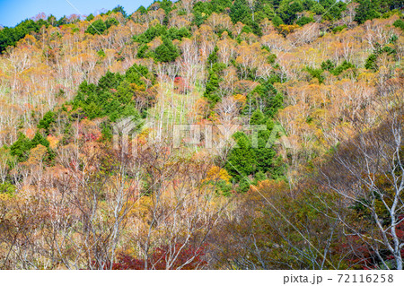 日光 半月峠第2駐車場からの眺望  紅葉景色 秋景色   日光 半月峠第2駐車場からの眺望  紅葉景色 秋景色   72116258