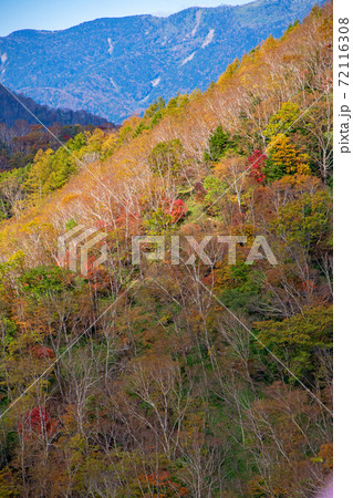 日光　半月峠第2駐車場からの眺望　　紅葉景色　秋景色　　 72116308