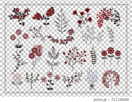 Botanical simple plants drawn in a circle vol.1 Botanical simple plants drawn in a circle vol.1 72116689