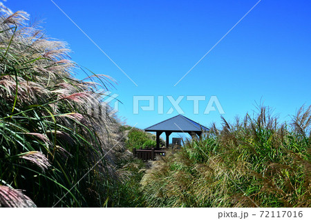 青空 青い空 ブルースカイ 72117016