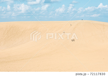 鳥取砂丘 鳥取砂丘 72117830