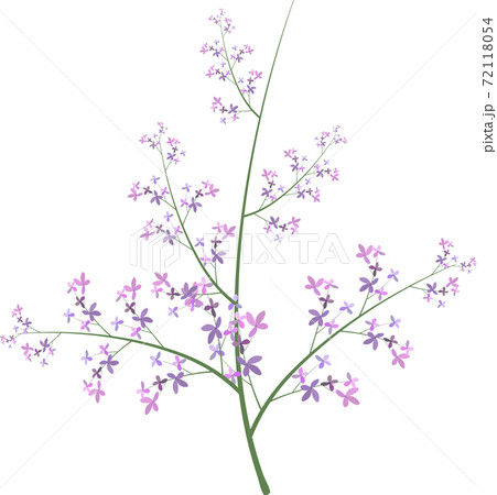 小さな花が咲いている木の枝のイラストのイラスト素材 小さな花が咲いている木の枝のイラストのイラスト素材