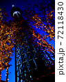 イルミネーションで飾られた樹木と東京スカイツリー 72118430