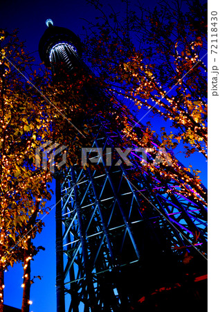イルミネーションで飾られた樹木と東京スカイツリー 72118430