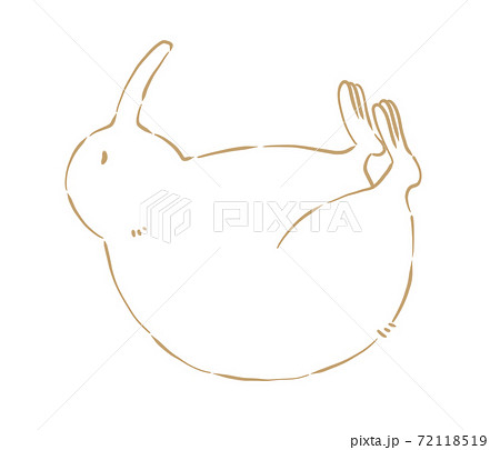 キーウィ※線画内白塗り キーウィ※線画内白塗り 72118519