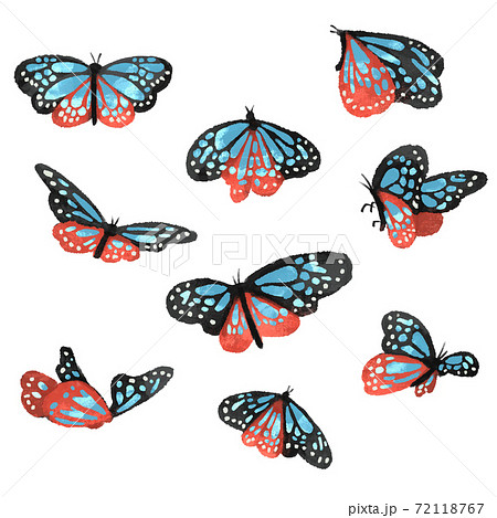 アサギマダラの蝶のイラスト 水色のイラスト素材