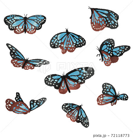アサギマダラの蝶のイラスト ナチュラルカラーのイラスト素材