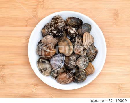 生のアサリ 72119009