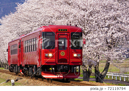 ながら号と桜並木 ながら号と桜並木 72119794