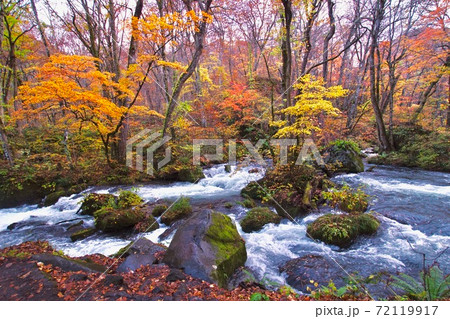 奥入瀬渓流の秋の光景　阿修羅の流れ　青森県十和田市 72119917