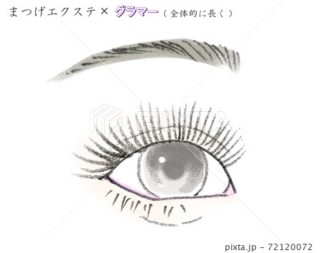 まつげエクステ パターン別イラストのイラスト素材