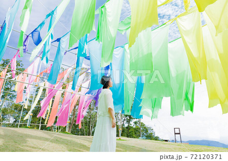 滋賀県 琵琶湖の見える丘 虹のカーテン 72120371