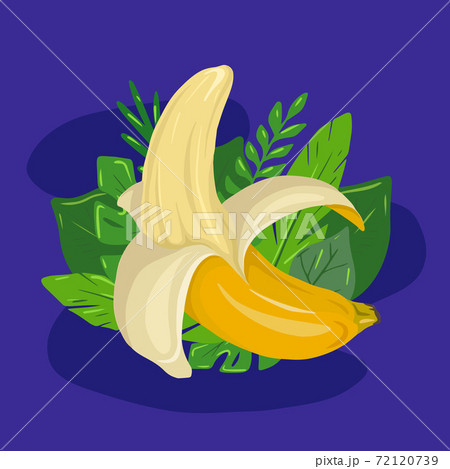 Cartoon open banana with tropical leaves and blue background. Delicious juicy treat. Vector flat illustration 72120739